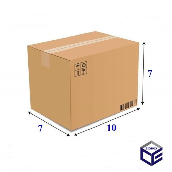 BIB - 1 Hộp Carton 10x6x6 Cm Thùng Carton