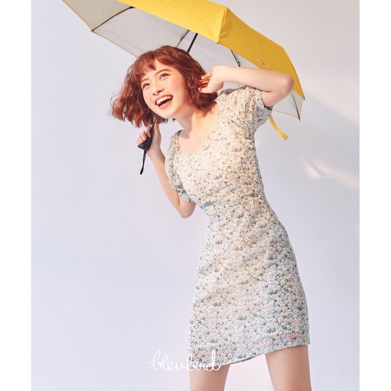 Pass váy của Bleubird