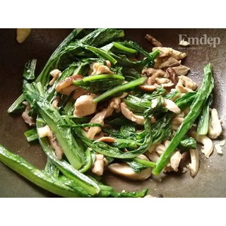 Hạt Giống Rau Diếp Thơm Đặc Biệt