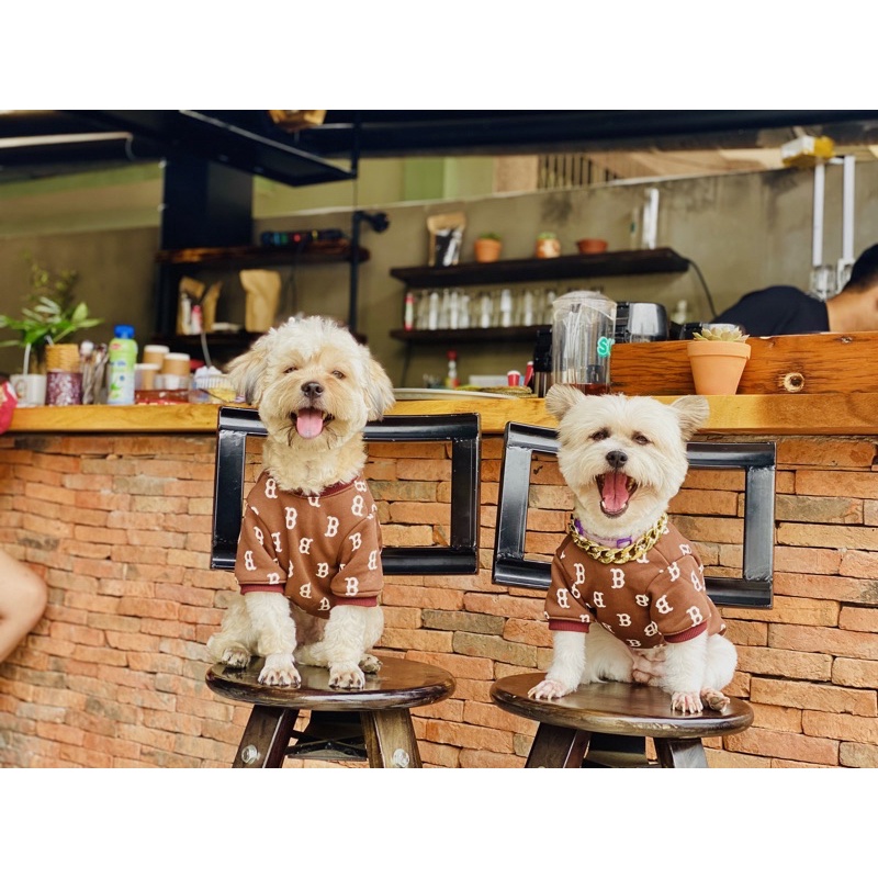 Áo NY cho chó mèo