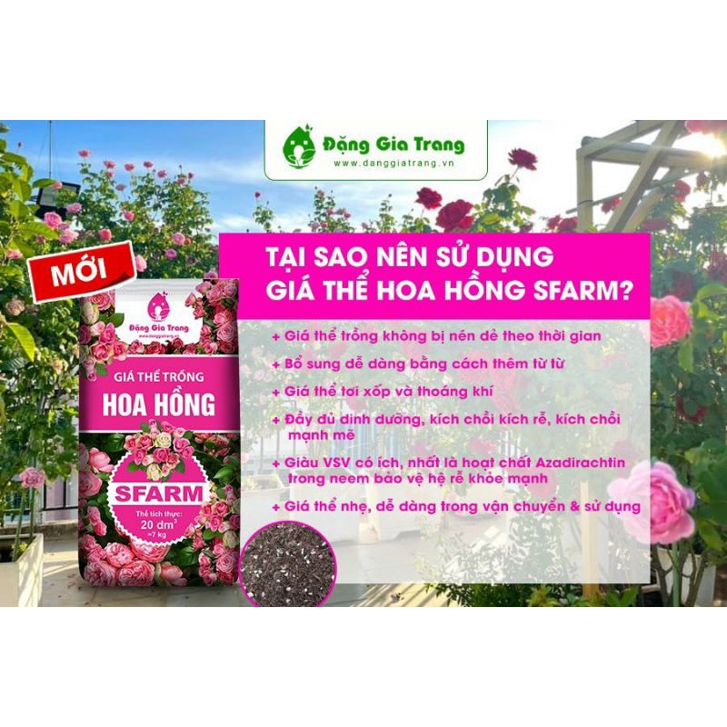 Đất trồng hồng - Giá thể hoa hồng Sfarm - Bao 20dm3
