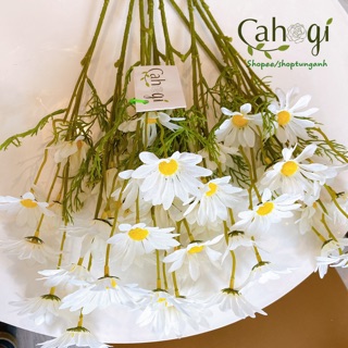 Hoa Giả - Cúc Hoạ Mi Cành 5 Bông Lớn