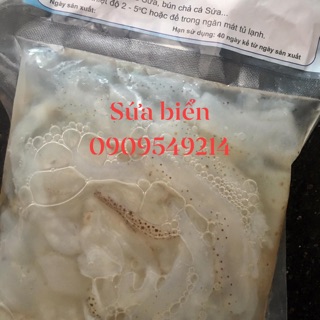 SỨA BIỂN TƯƠI