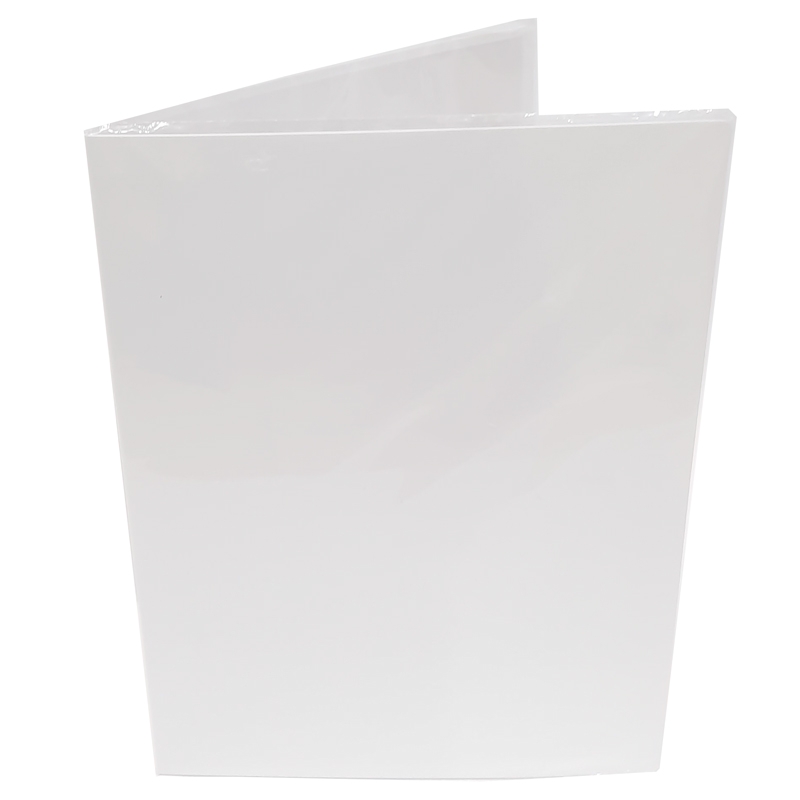 Bìa 10 Lá Clear File 186-10GSV-A4S White -