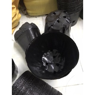 Bầu ươm cây 18*16 (147 cái/kg)