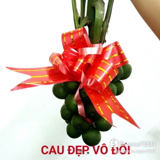 Quả cau, buồng cau ăn trầu làm lễ cúng, cưới hỏi