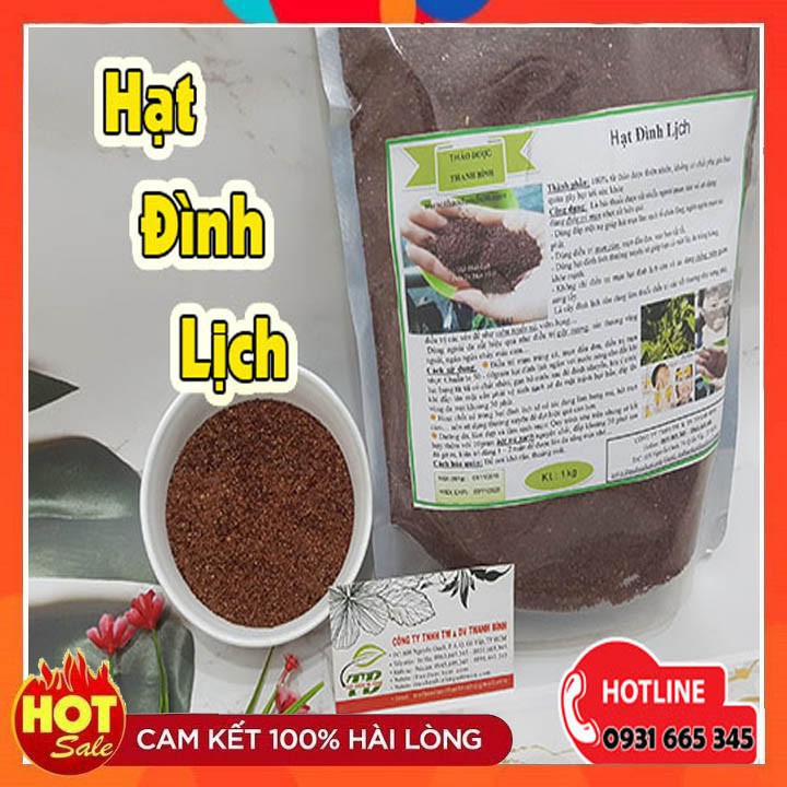 Hạt Đình Lịch 500gr  - Có GCN ATVSTP - Thảo Dược Uy Tín