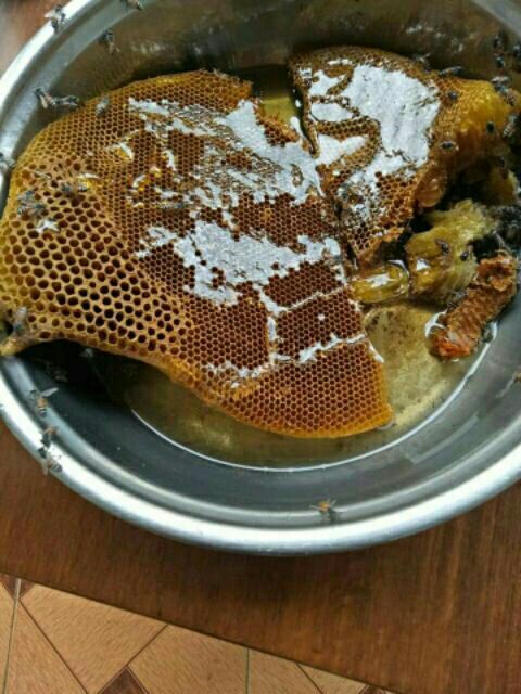 [MỚI] MẬT ONG NGUYÊN CHẤT HOA CÀ PHÊ TÂY NGUYÊN 1000ml date 2025