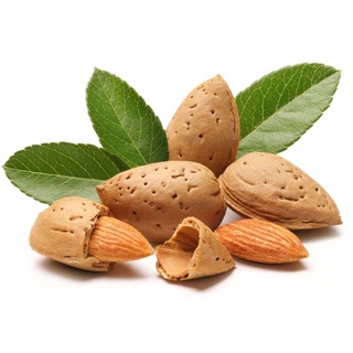 Hạnh nhân rang bơ Mỹ (hộp 500g) - Almonds (500gr)
