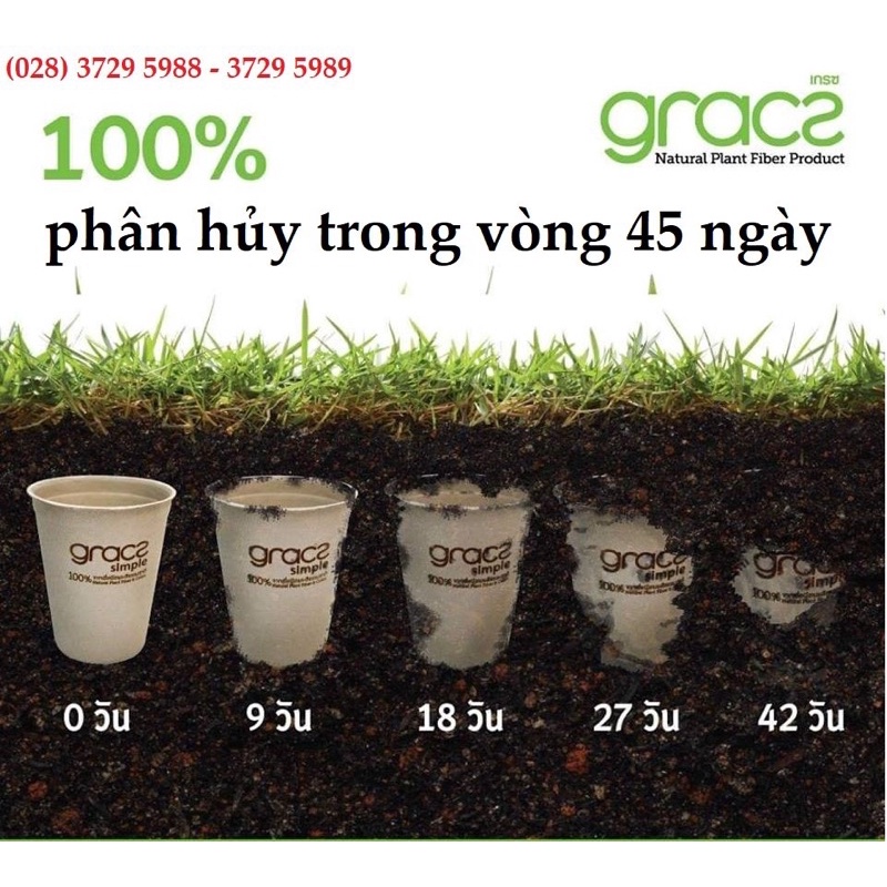 10 Chén bã mía Thái Lan 350ml - thương hiệu Gracz