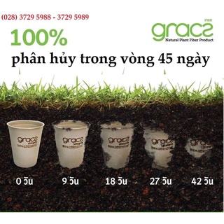 10 Chén bã mía Thái Lan 350ml - thương hiệu Gracz (màu trắng)