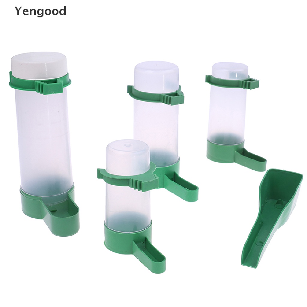 Dụng Cụ Uống Nước Và Thức Ăn Dùng Trang Trí
