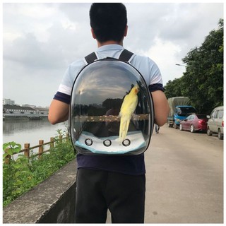 Ba Lô Du Lịch Chất Lượng Dành Cho Vẹt