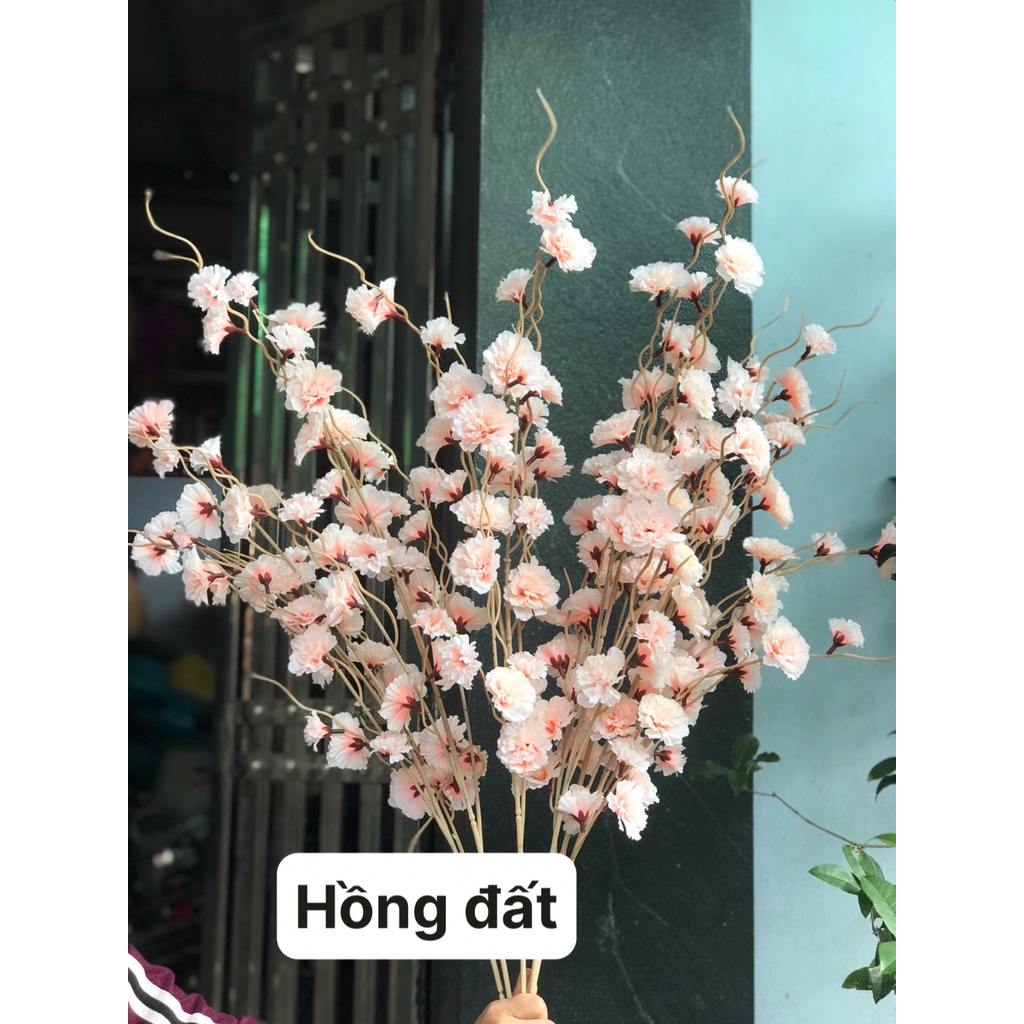 Anh Đào Râu  | Cụm Phăng Khô - Hoa Leo Giả Vải Lụa Cao Cấp Decor Trang Trí Nhà Cửa, Tết | Hà Hoa Flower
