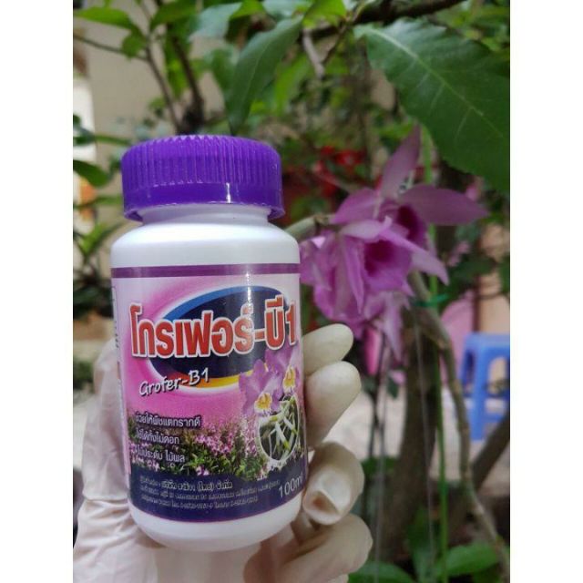 Phân bón cao cấp nhập khẩu Thái Lan 100ml kích rễ dưỡng hoa Super Grofer B1