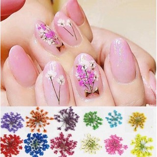 hoa khô ẩn gel