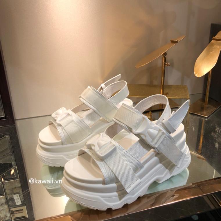 BUCKLE SANDALS - GIÀY SANDALS Phối Khoá Đế 6cm nhẹ như mây Kawaii.vn BD