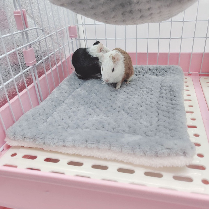 Bộ 3 Món Võng + Đường Hầm + Đệm Lót Ẩn Cho Chuột Hamster Vào Mùa Đông