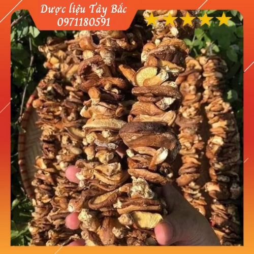 NẤM HƯƠNG RỪNG TÂY BẮC 500g