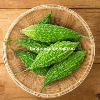 10h - hạt giống khổ qua gai xanh