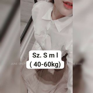 Bán sỉ áo sơ mi bánh bèo