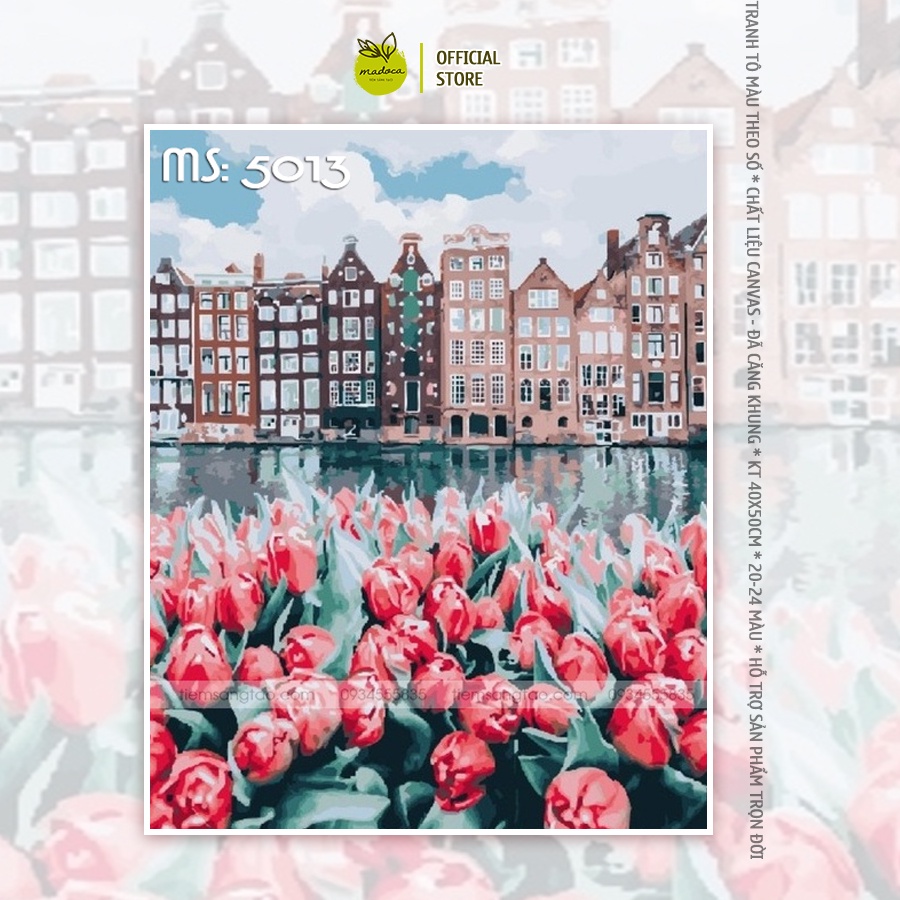 Tranh tô màu số hóa Madoca có khung 40x50cm hoa tulip hồng T5013