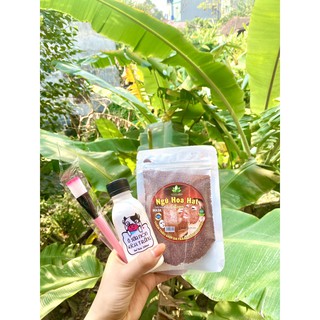 Mặt nạ ngũ hoa hạt, hạt đình lịch TẶNG ủ kích trắng sữa non TẶNG cọ đắp mặt nạ giảm mụn, ngăn ngừa mụn