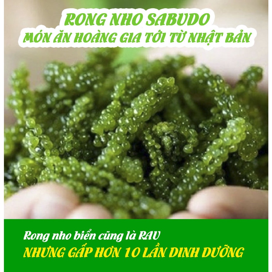 [NEW] Rong nho tách nước SABUDO + Chai xốt mè rang, vua rong nho Nhật Bản, phân phối rong nho Sabudo chính hãng ZONESHOP