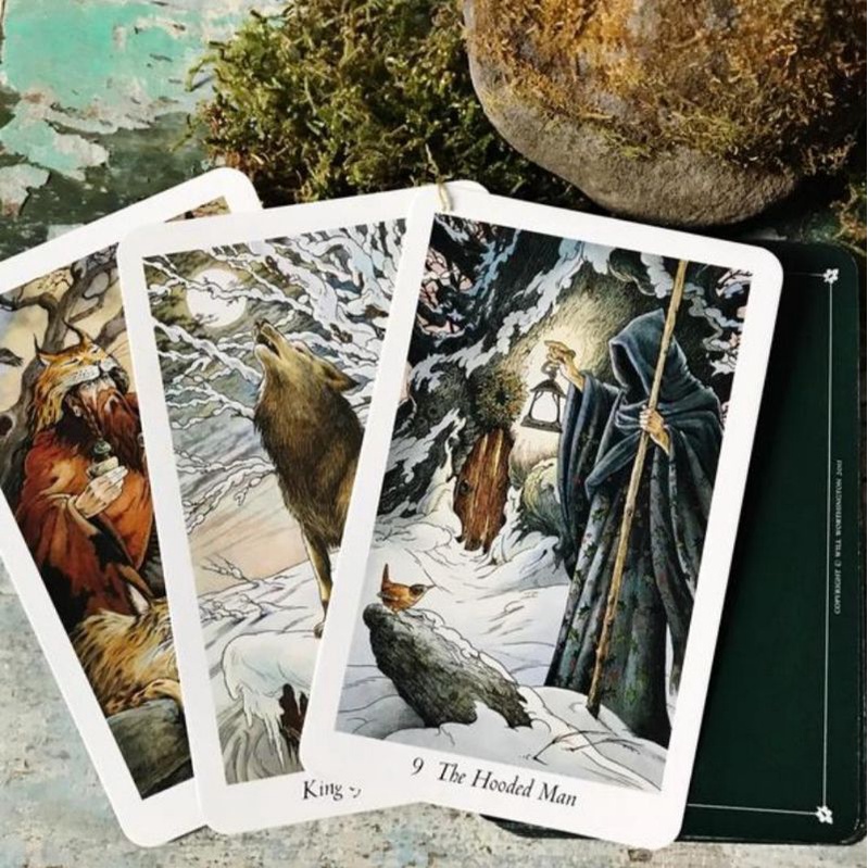 Bài The Wild Wood Tarot
