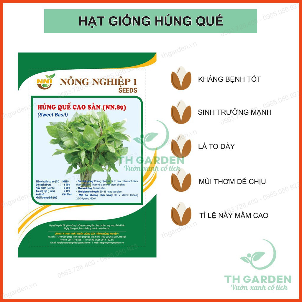 Hạt Giống Húng Quế Cao Sản 5gram - Hạt Giống Húng Chó Cao Sản HKT Farm