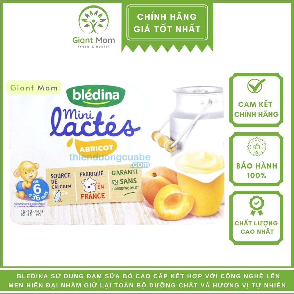 Sữa chua Bledina Pháp Giantmom - Sữa chua nguội Bledina Pháp vỉ 6 hộpx55g - Date xa