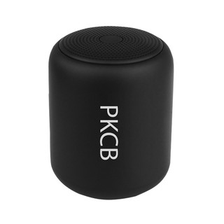 Loa Bluetooth Mini PKCB42 120
