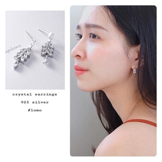 Crystal Earrings