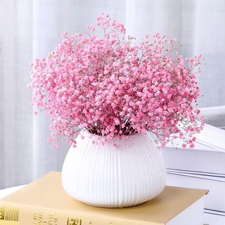 120g hoa Baby khô màu hồng nhạt Decor & Trang trí