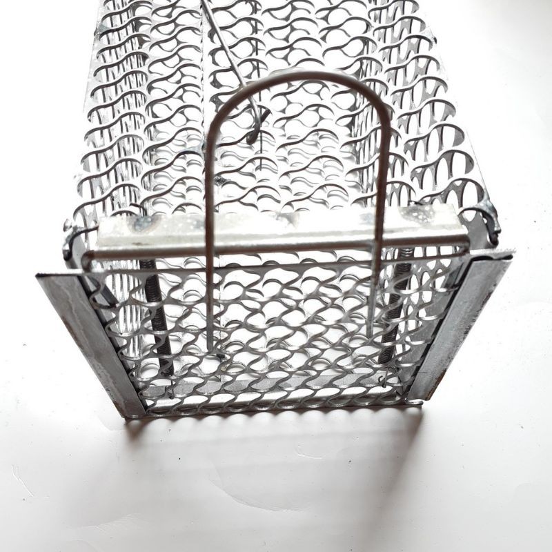 Bẫy chuột lồng sắt 1 cửa đủ kích thước [Hàng đẹp]