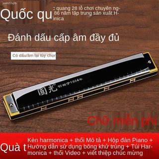 Guoguang Harmonica 28 lỗ 24 Dành cho người lớn Trình độ biểu diễn nâng cao trẻ em Sinh viên mới bắt đầu Tự học Trọng âm