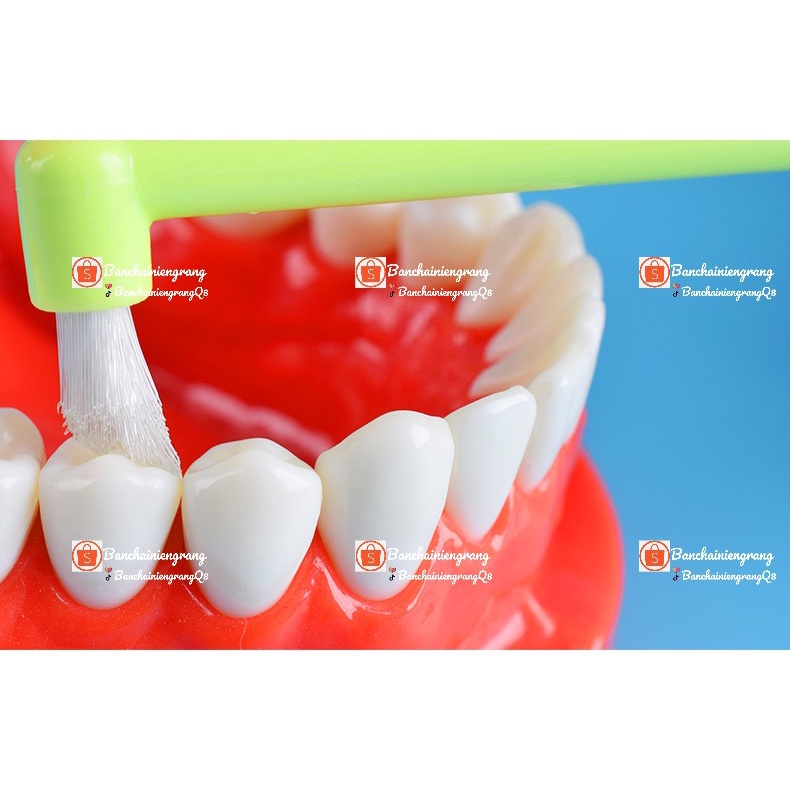Bàn chải nhỏ, Bàn chải kẽ cho người niềng; Chải răng khôn