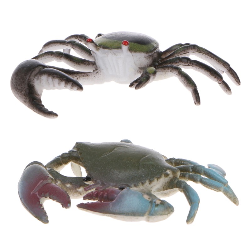 Đồ Chơi Mô Hình Con Cua Cho Trẻ Em