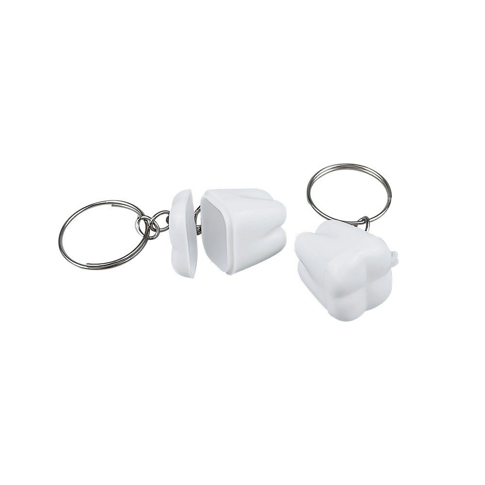 Set 50 Móc Khóa Hộp Đựng Răng Giả