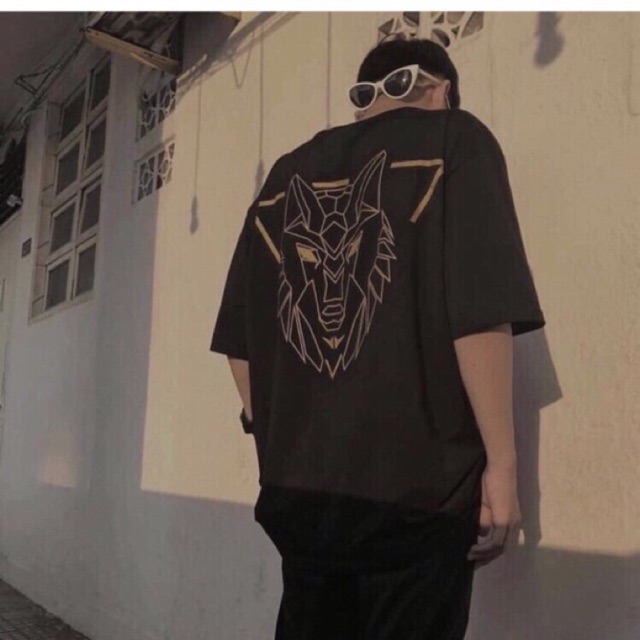 ❌Áo Thun Tay Lỡ The Hade Đầu Sói