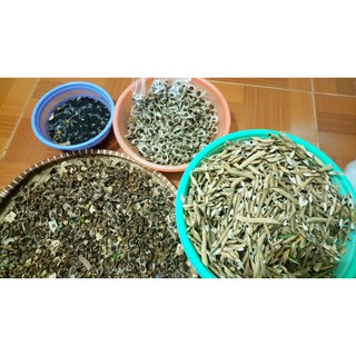 Hạt giống Đậu Biếc