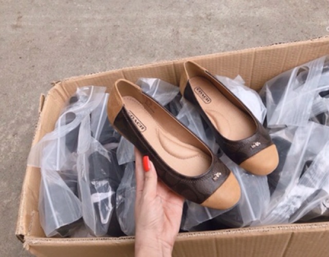 ‼️Rẻ nhất Shopee‼️Giày búp bê C.oach | BigBuy360 - bigbuy360.vn