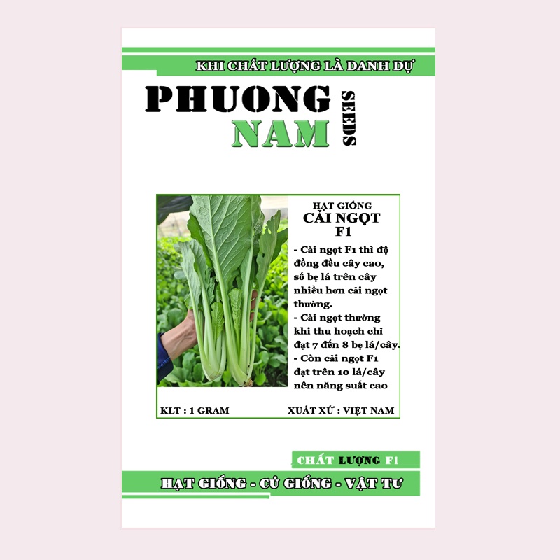 10GR - HẠT GIỐNG CẢI NGỌT