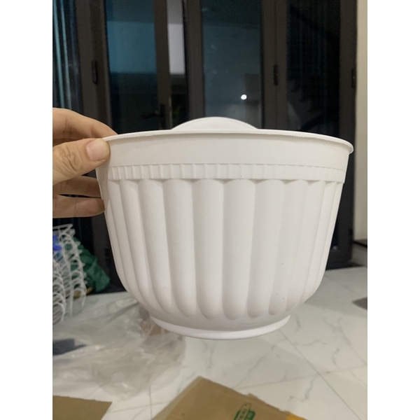 Chậu ốp tường trồng cây, hoa vân sọc- Chậu treo tường trồng cây, chậu bán nguyệt ốp tường loại 1 dày đẹp