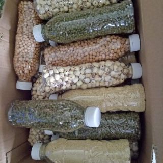 Đậu trắng Organic Bé An