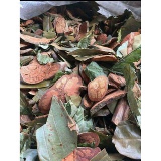 LÁ TẮM NGƯỜI DAO ĐỎ CHUẨN SAPA
