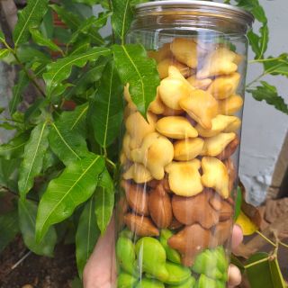 400gr banh gau mix 3 mau