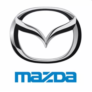 [MAZDA] Bộ 10 Miếng Dán Silicon Chống Xước Hõm Cửa, Tay Nắm Cửa , Gương Ô Tô Xe Hơi Có Logo Hãng Xe Mazda