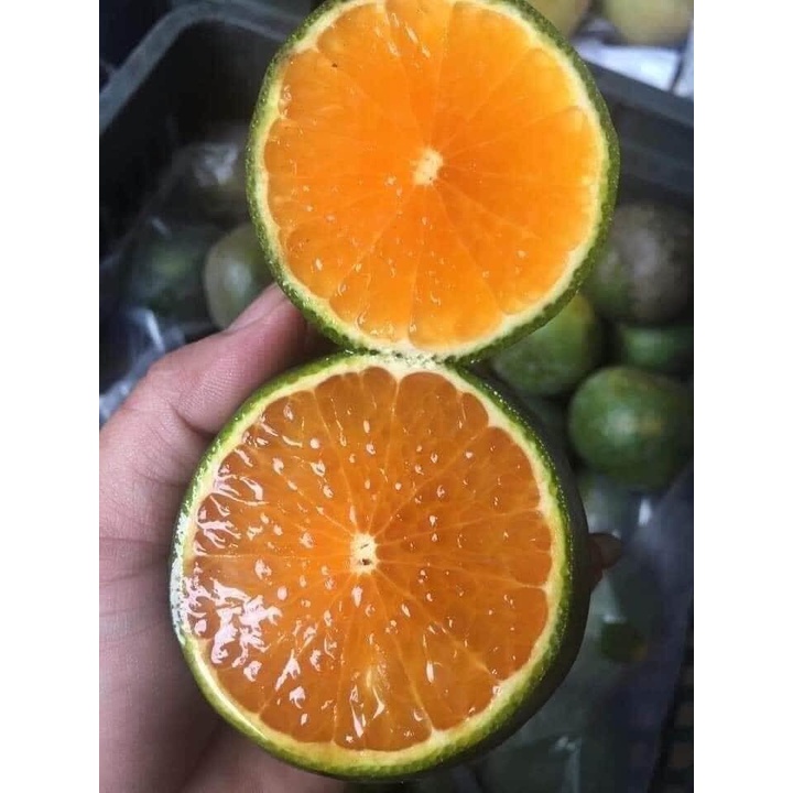 Cam Sành Mọng Nước Bổ Dưỡng - Giao Hỏa Tốc 1h