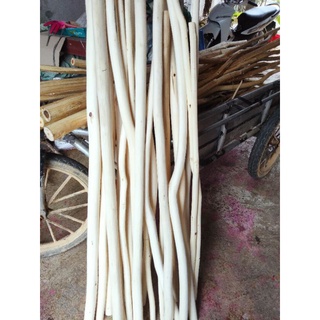 Cành cây khô gỗ tự nhiên chuyên làm macrame combo 10 cành